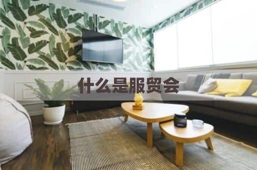 什么是服贸会