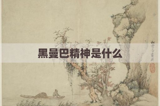 黑曼巴精神是什么