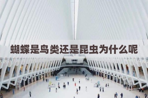 蝴蝶是鸟类还是昆虫为什么呢