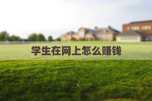 学生在网上怎么赚钱