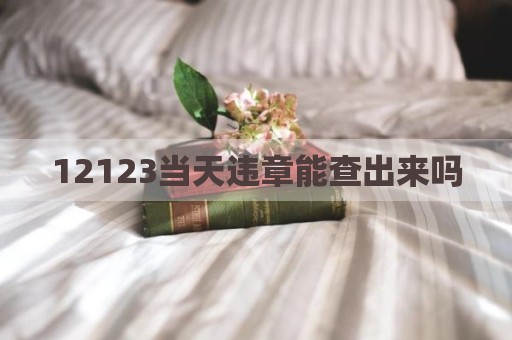 12123当天违章能查出来吗