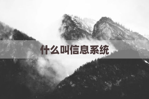 什么叫信息系统