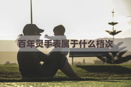 百年灵手表属于什么档次