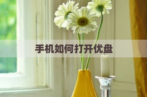 手机如何打开优盘