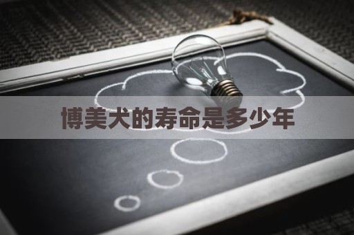 博美犬的寿命是多少年