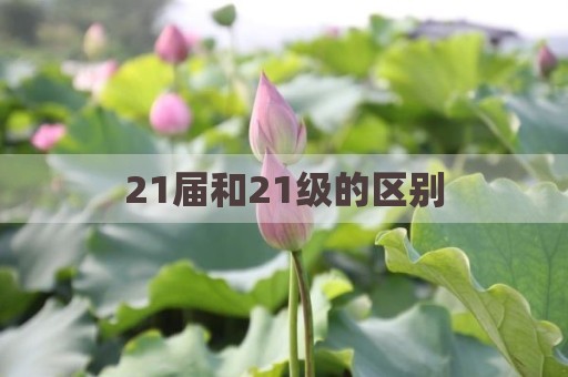 21届和21级的区别