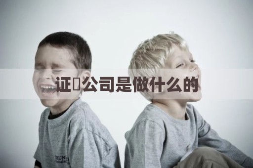 证劵公司是做什么的