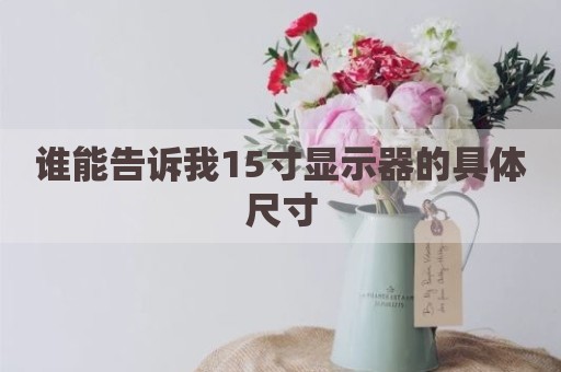 谁能告诉我15寸显示器的具体尺寸