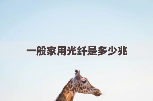 一般家用光纤是多少兆