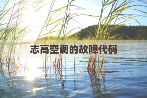 志高空调的故障代码