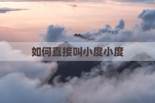 如何直接叫小度小度