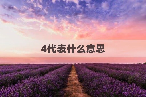 4代表什么意思