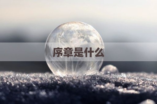 序章是什么