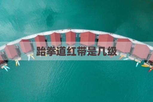 跆拳道红带是几级