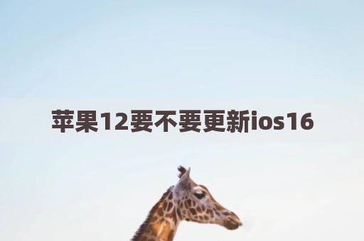 苹果12要不要更新ios16