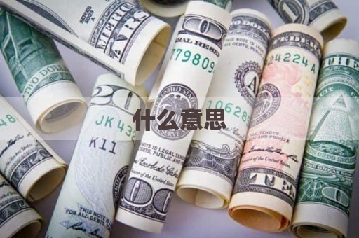什么意思