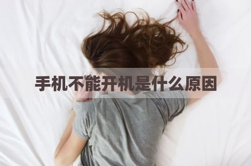 手机不能开机是什么原因