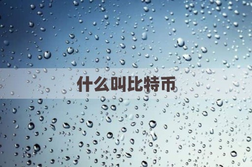 什么叫比特币