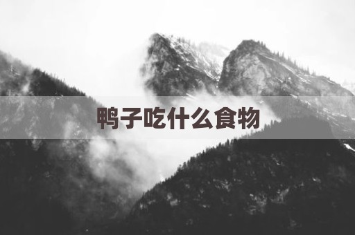 鸭子吃什么食物