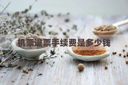 机票退票手续费是多少钱