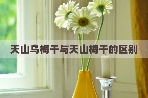 天山乌梅干与天山梅干的区别