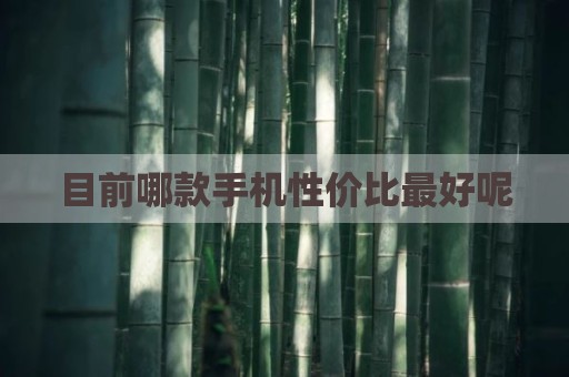 目前哪款手机性价比最好呢