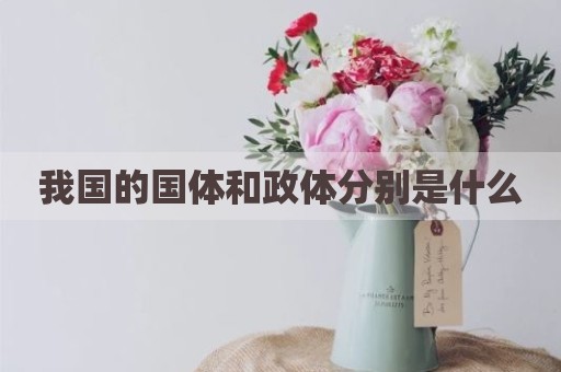 我国的国体和政体分别是什么