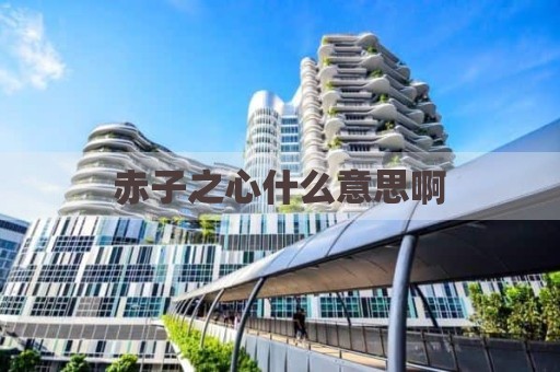 赤子之心什么意思啊