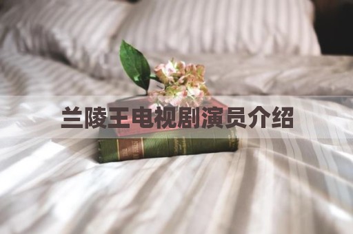 兰陵王电视剧演员介绍