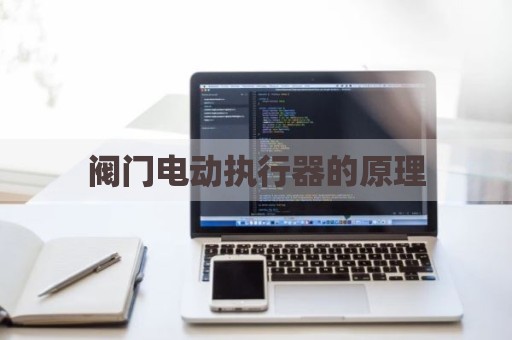 阀门电动执行器的原理