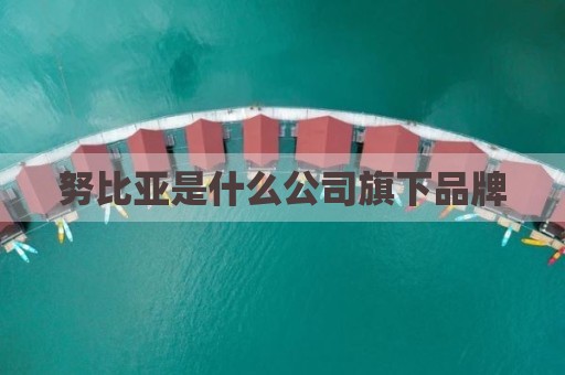 努比亚是什么公司旗下品牌