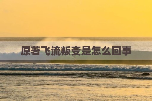 原著飞流叛变是怎么回事
