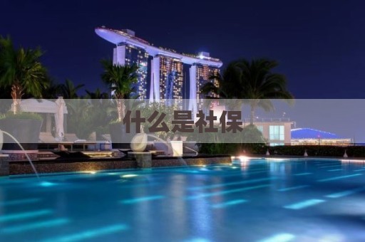 什么是社保