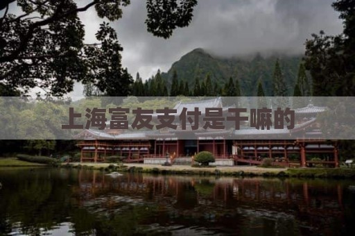 上海富友支付是干嘛的