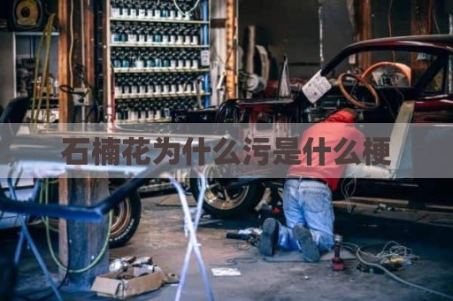 石楠花为什么污是什么梗