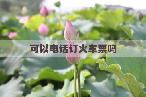 可以电话订火车票吗