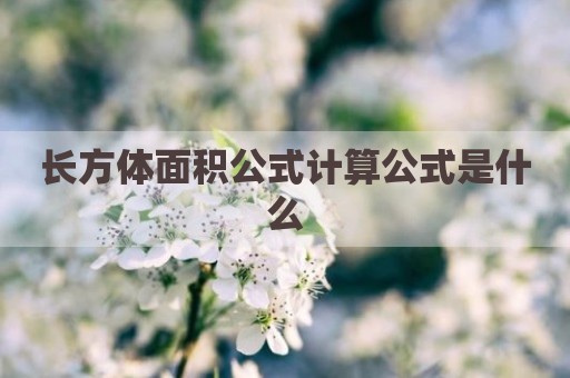 长方体面积公式计算公式是什么