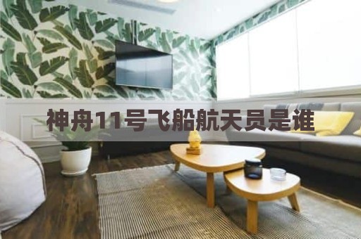 神舟11号飞船航天员是谁