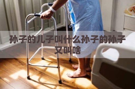 孙子的儿子叫什么孙子的孙子又叫啥