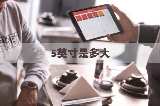 5英寸是多大