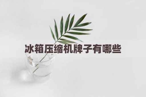 冰箱压缩机牌子有哪些