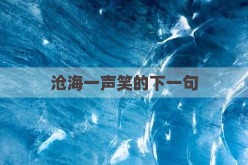 沧海一声笑的下一句