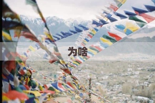 为啥
