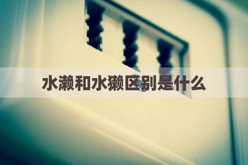 水濑和水獭区别是什么