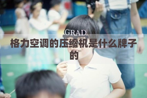 格力空调的压缩机是什么牌子的