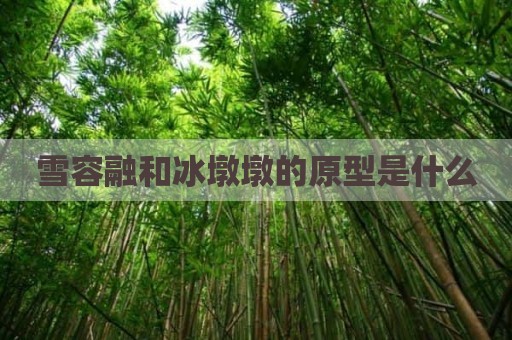 雪容融和冰墩墩的原型是什么