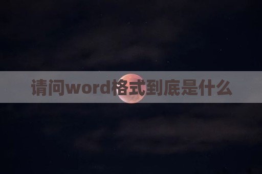 请问word格式到底是什么