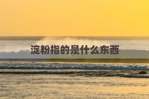 淀粉指的是什么东西