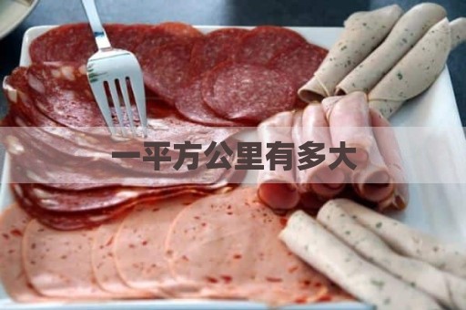 一平方公里有多大