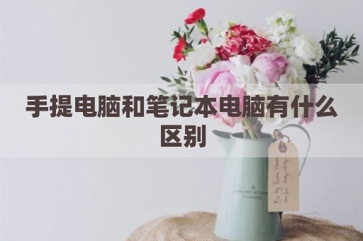 手提电脑和笔记本电脑有什么区别